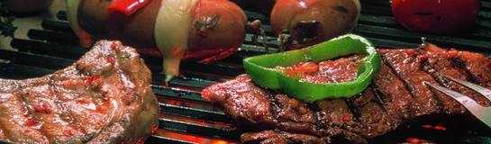 Grill Party Augsburg Muenchen online bestellen